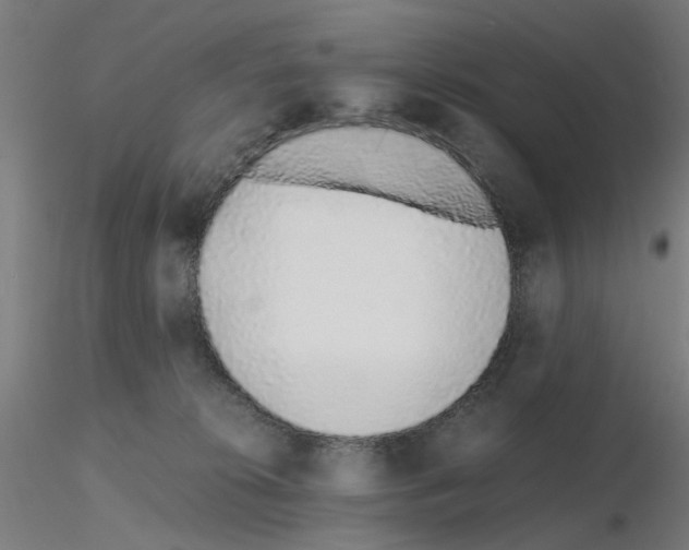 X0000115640276200912221316