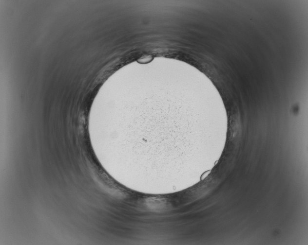 X0000115640279200912221316