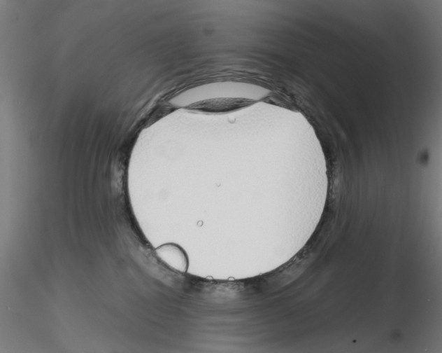 X0000115640282200912221316