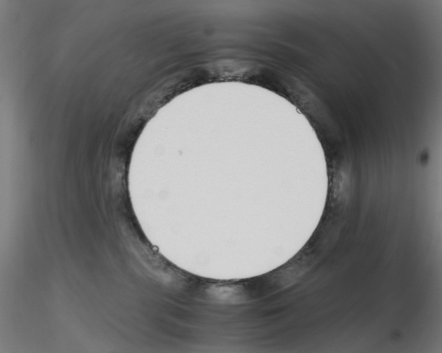 X0000115640283200912221316