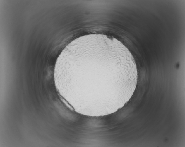 X0000115640284200912221316