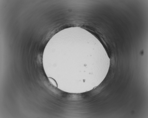 X0000115640286200912221316