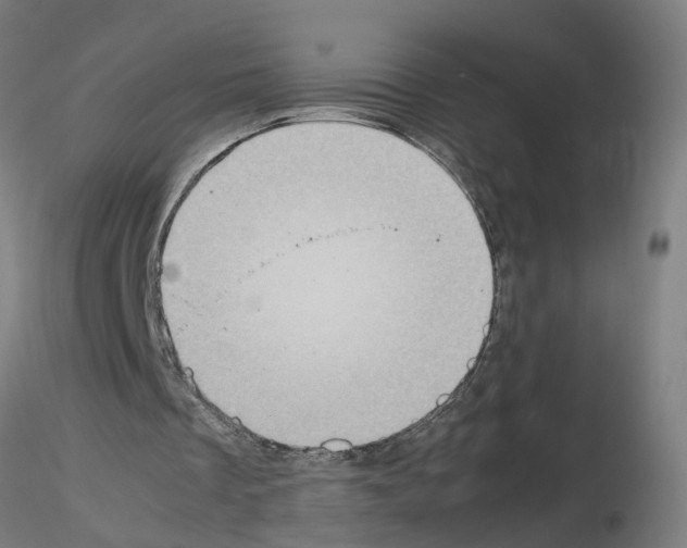 X0000115640289200912221316