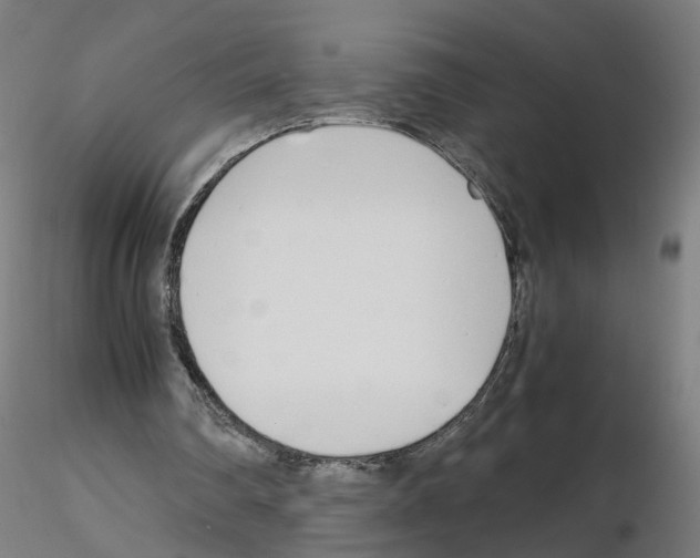 X0000115640290200912221316