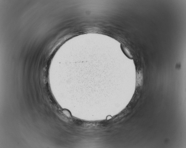 X0000115640291200912221316