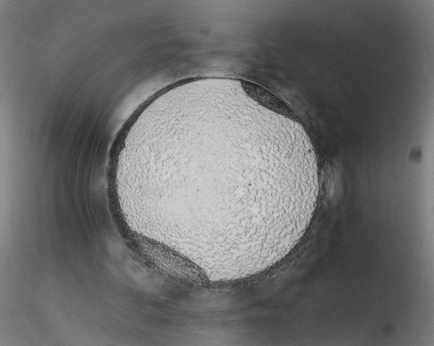 X0000115640292200912221316