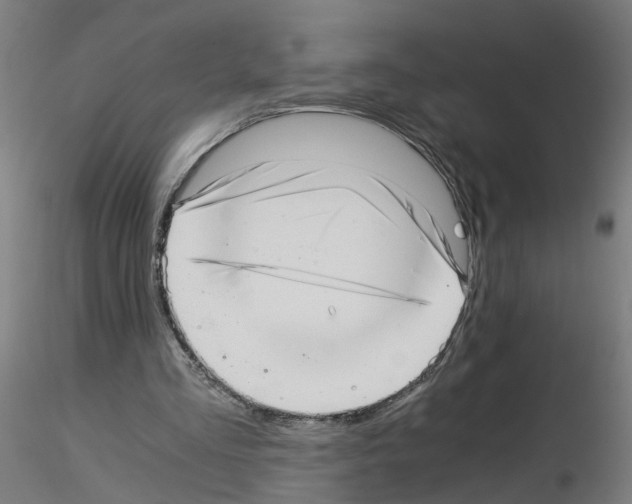 X0000115640293200912221316