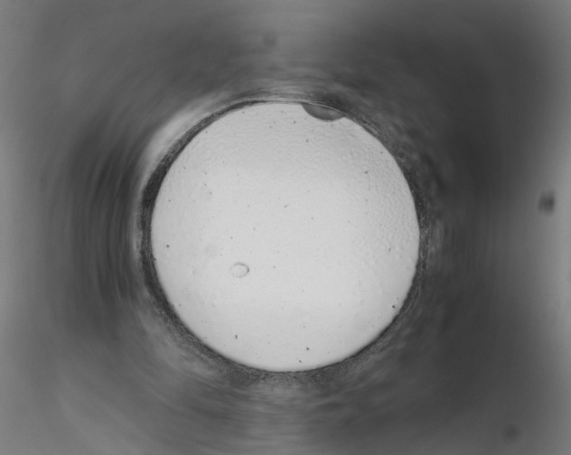 X0000115640294200912221316