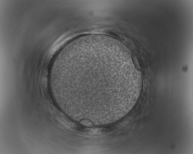 X0000115640295200912221316