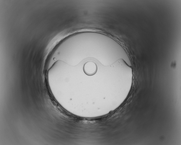 X0000115640296200912221316