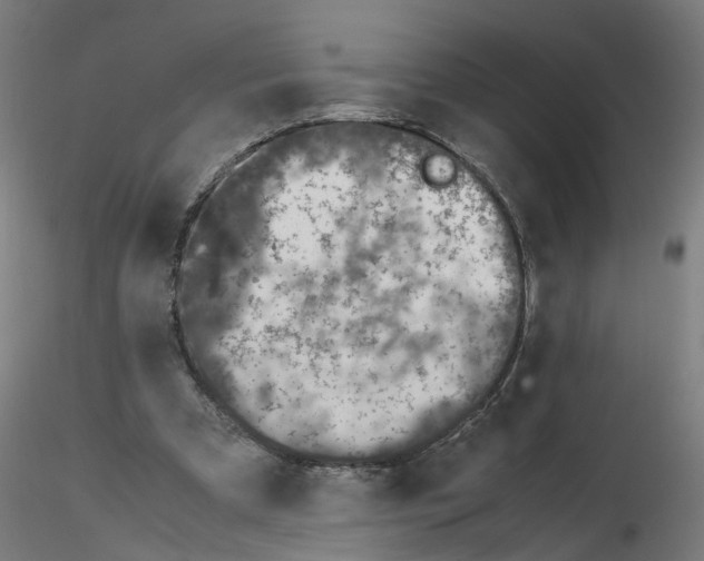 X0000115640297200912221316