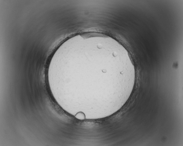 X0000115640298200912221316