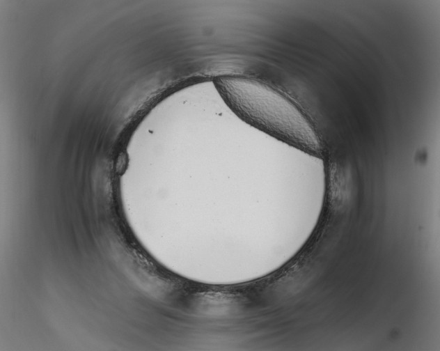 X0000115640300200912221316