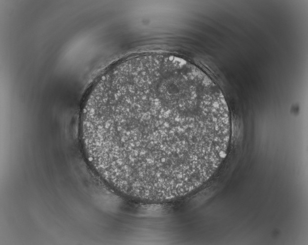 X0000115640301200912221316