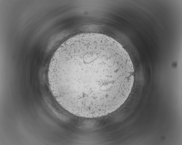 X0000115640302200912221316