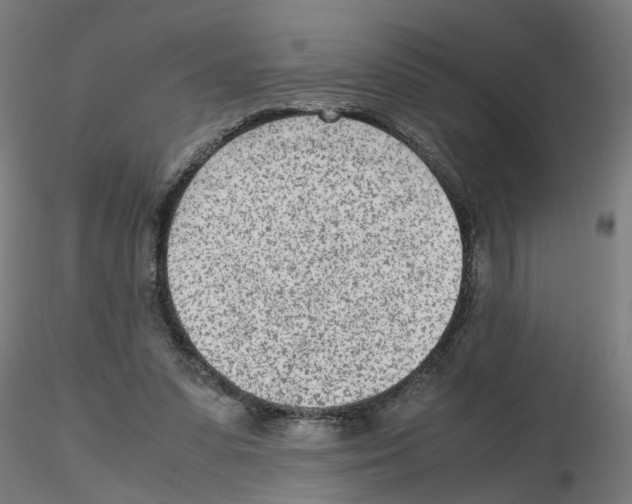 X0000115640303200912221316