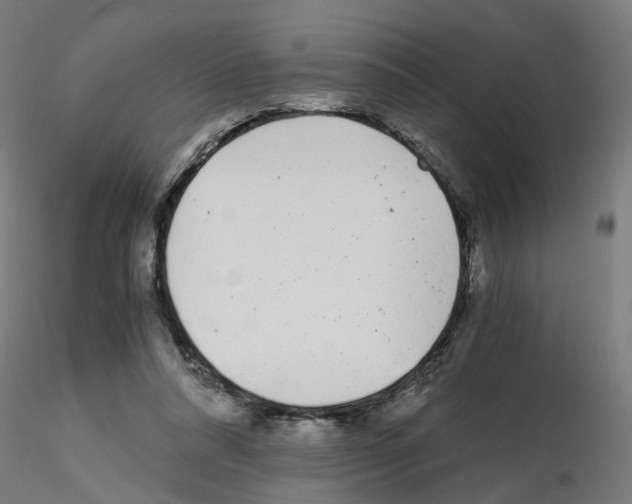 X0000115640304200912221316
