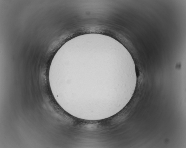 X0000115640306200912221316