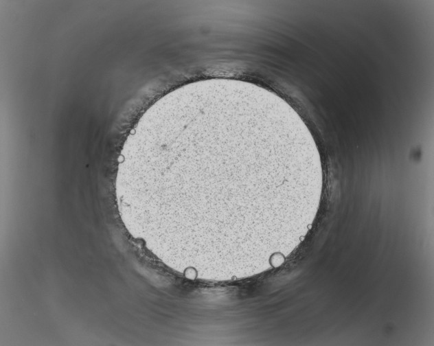 X0000115640307200912221316