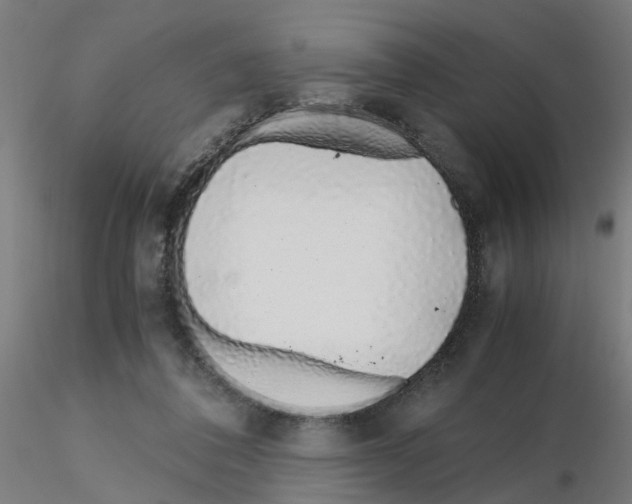 X0000115640308200912221316