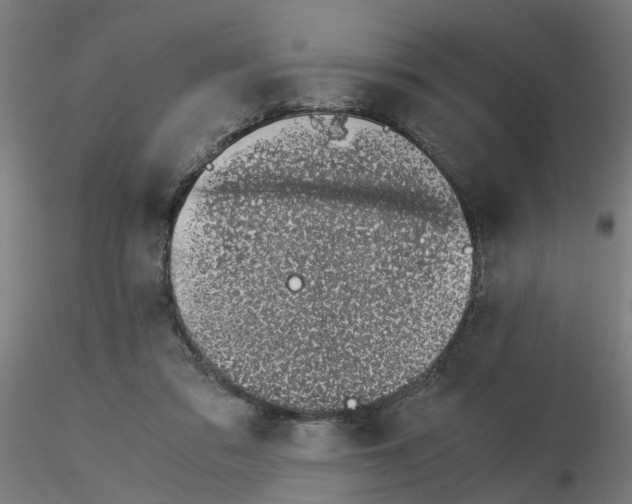 X0000115640309200912221315