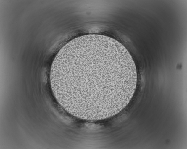 X0000115640311200912221315