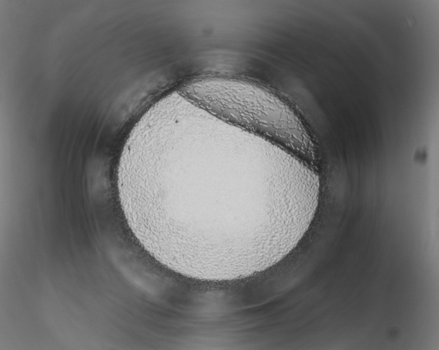 X0000115640312200912221315
