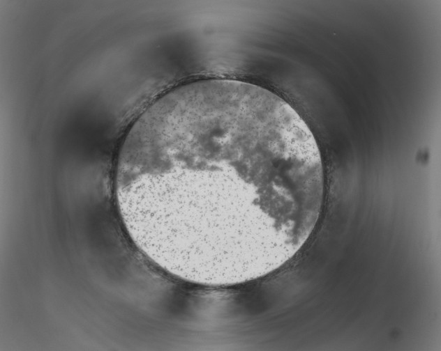X0000115640313200912221315