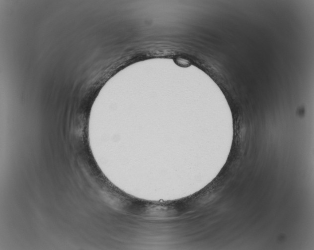 X0000115640315200912221315