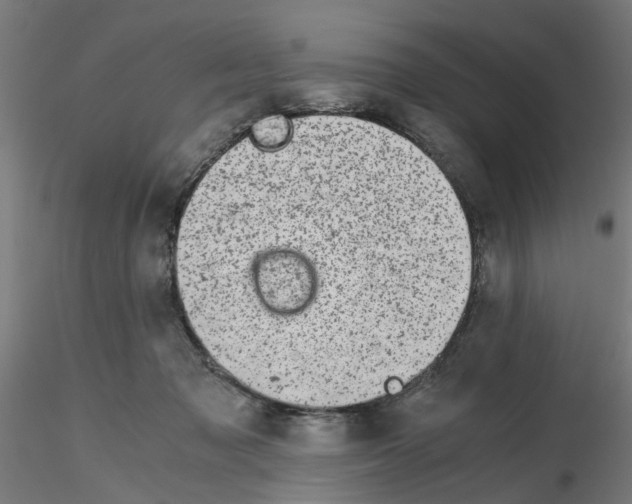 X0000115640317200912221315