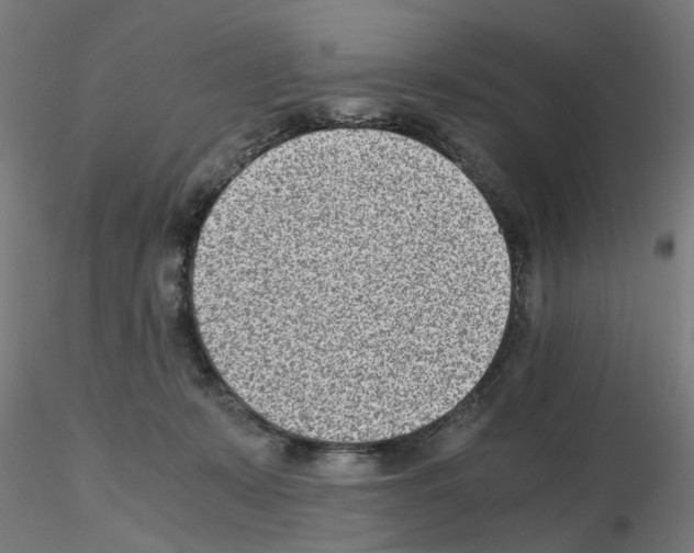 X0000115640319200912221315