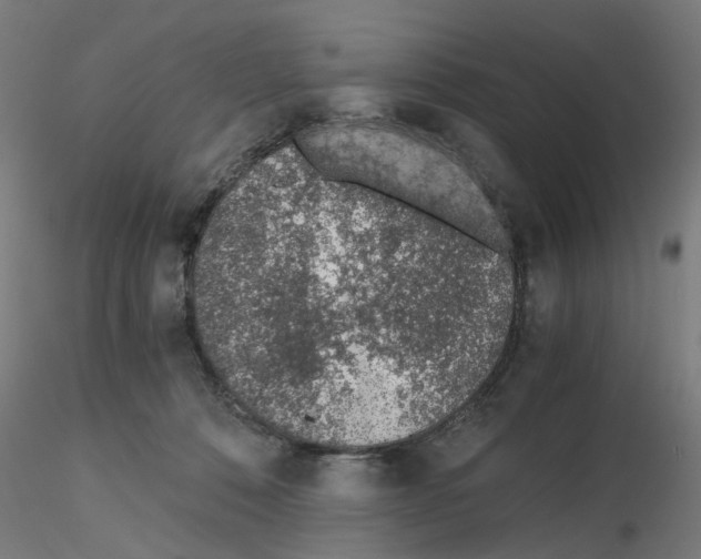 X0000115640320200912221315