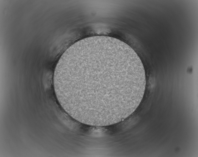 X0000115640321200912221315