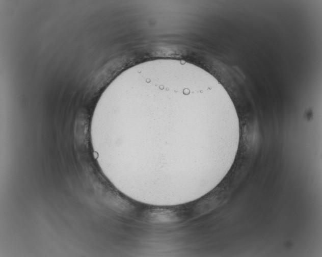 X0000115640322200912221315