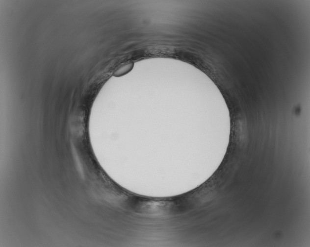 X0000115640323200912221315