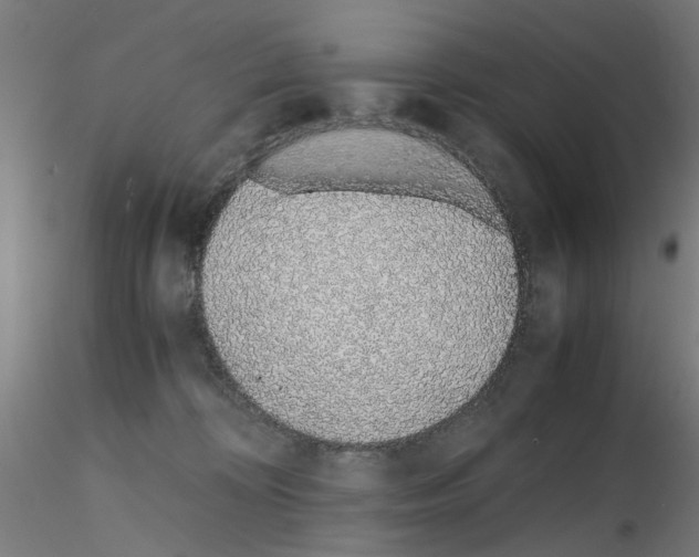 X0000115640324200912221315