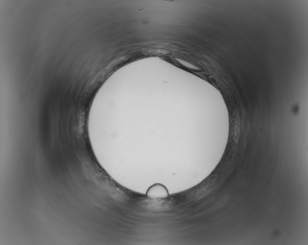 X0000115640326200912221315