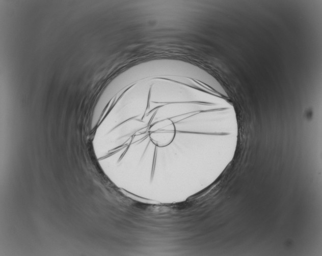 X0000115640327200912221315