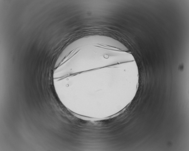 X0000115640328200912221315