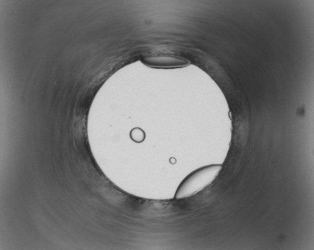 X0000115640329200912221315