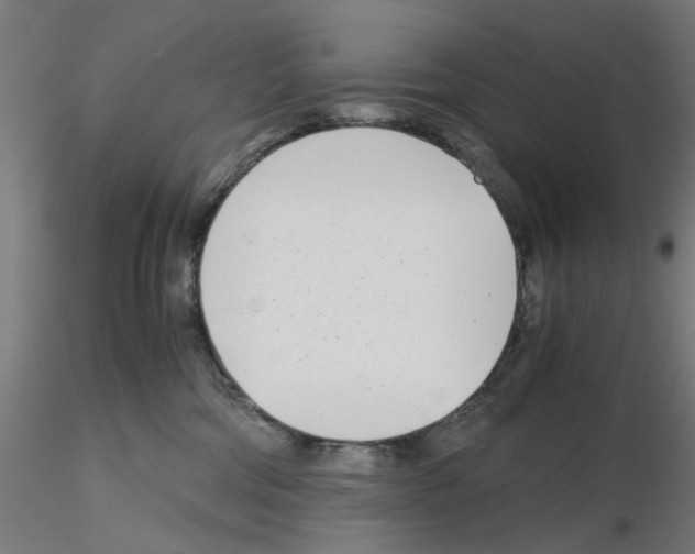 X0000115640330200912221315