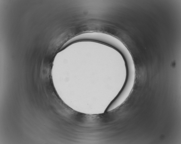 X0000115640333200912221315
