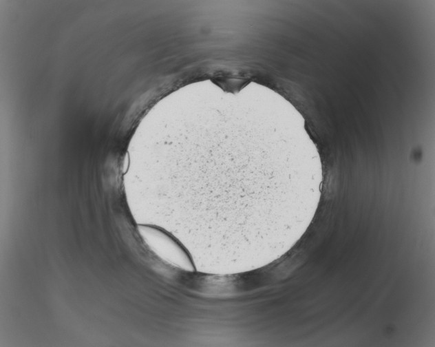 X0000115640335200912221315