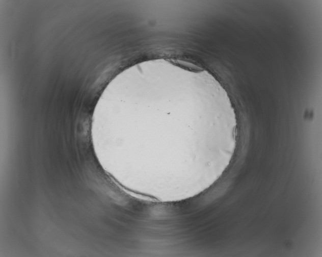 X0000115640336200912221315