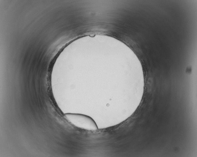 X0000115640338200912221314