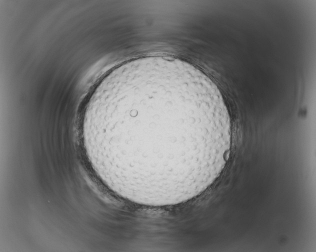 X0000115640339200912221314