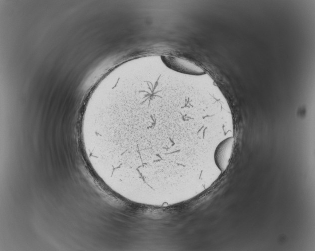 X0000115640341200912221315