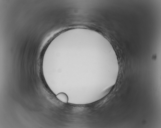 X0000115640342200912221315
