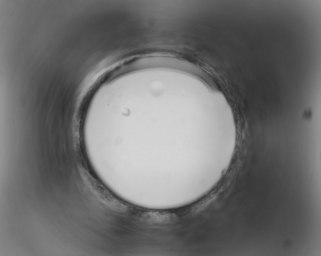 X0000115640343200912221315