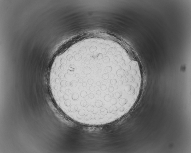 X0000115640345200912221315